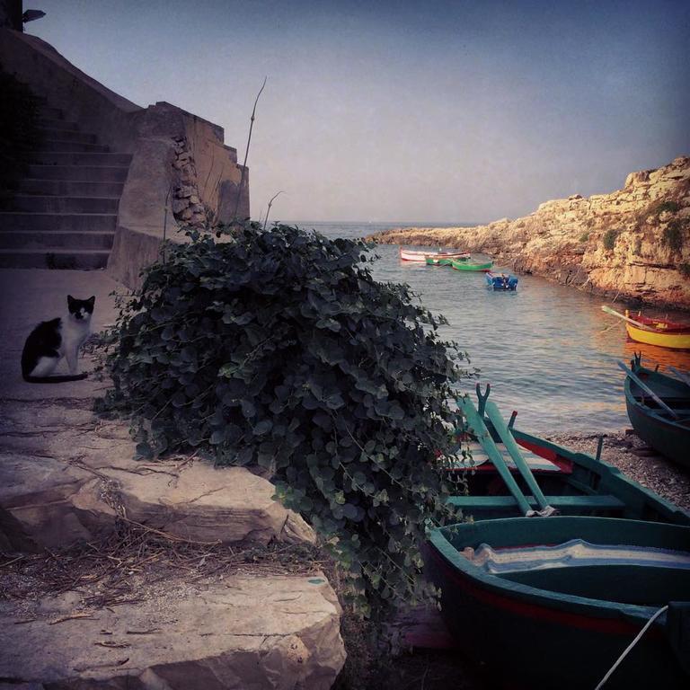 La Casetta Di Chiara B&B โปลีญาโนอามาเร ภายนอก รูปภาพ